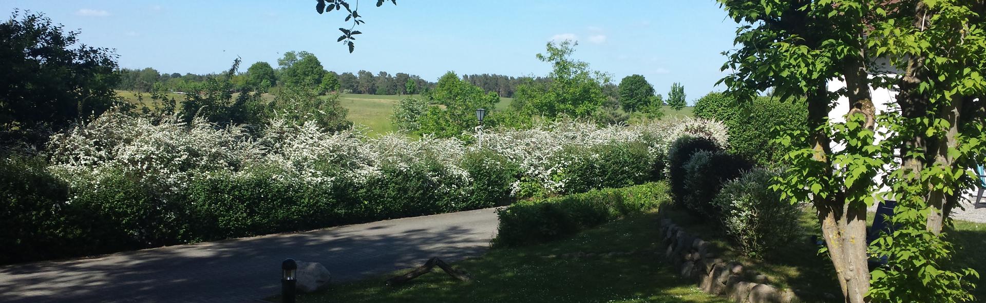 Ferienpark Lenzer Höh - Impressionen