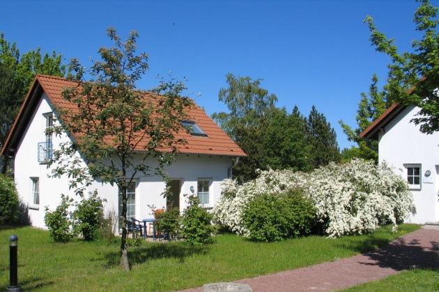 Ferienhäuser Typ A1 - freistehendes Ferienhaus ca. 89qm